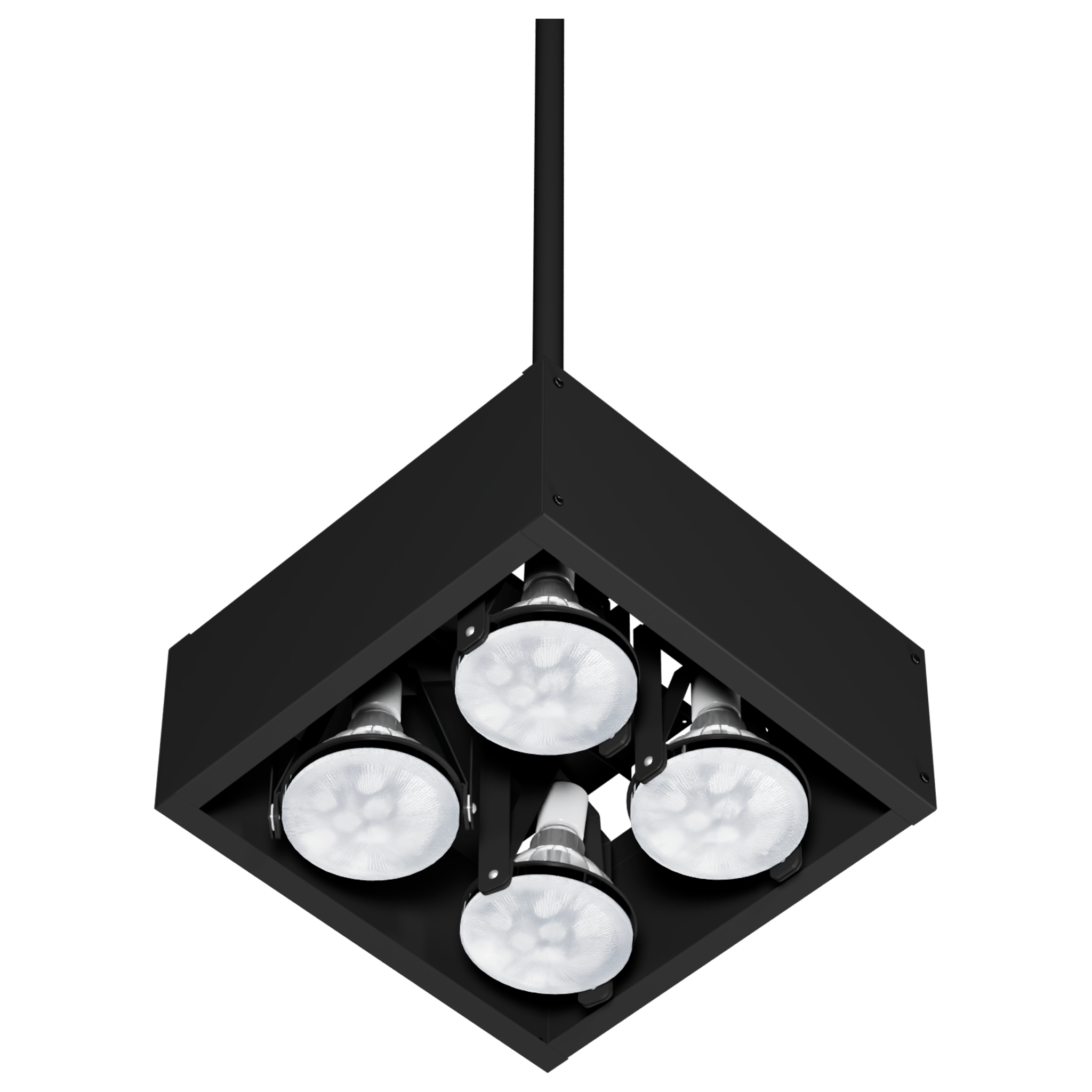 BP38P, Multiple PAR38 Enclosure, main photo of luminaire