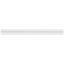 BLSPT-SL thumbnail image